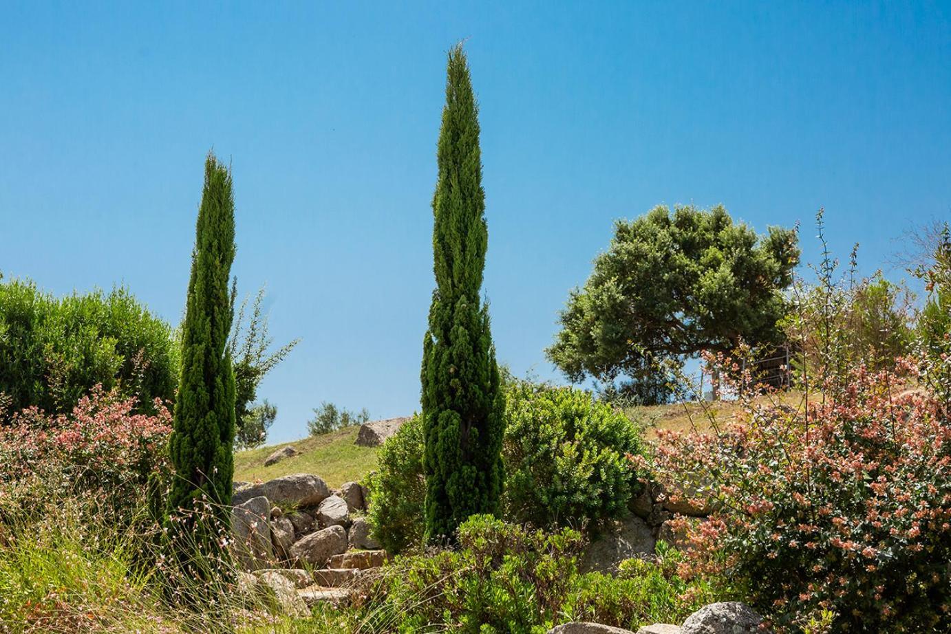 Les Hameaux De Buttaciolo Villa Cuo Exteriör bild